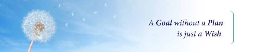 A goal without a plan is just a wish.